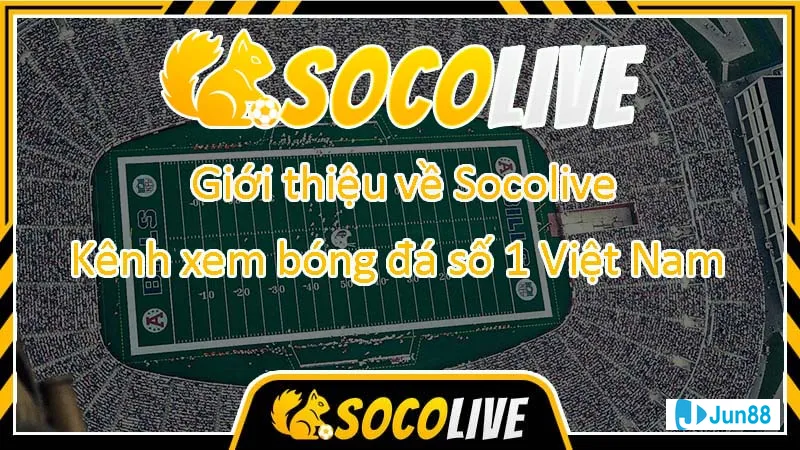 Cập nhật thông tin liên tục