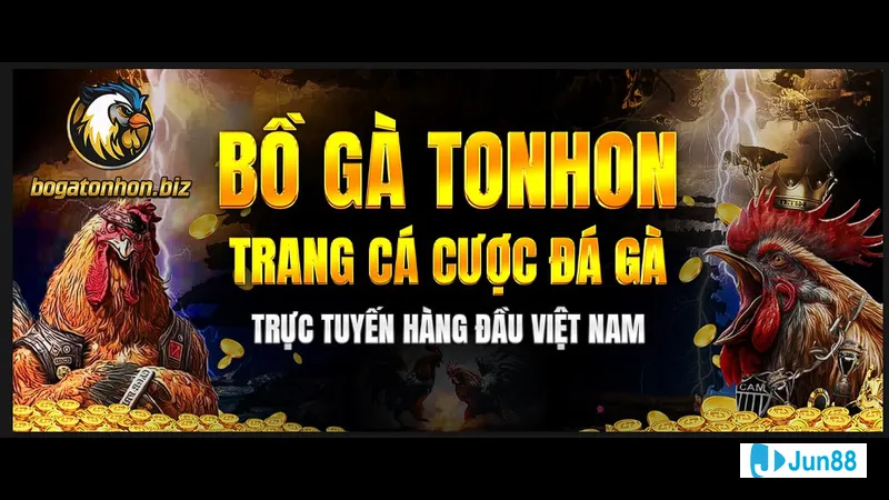 Hệ thống Livestream Chất lượng Cao