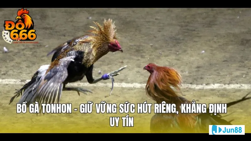Một món ăn ngon miệng độc đáo