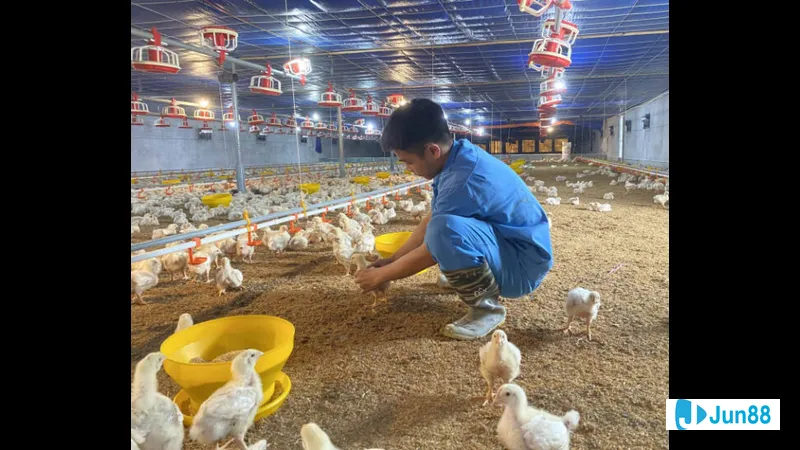 Nghỉ ngơi trong dịp cuối tuần